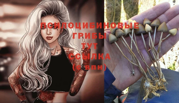 эйфоретик Туринск