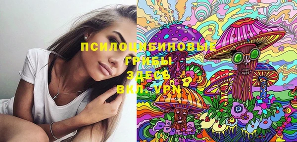 эйфоретик Туринск