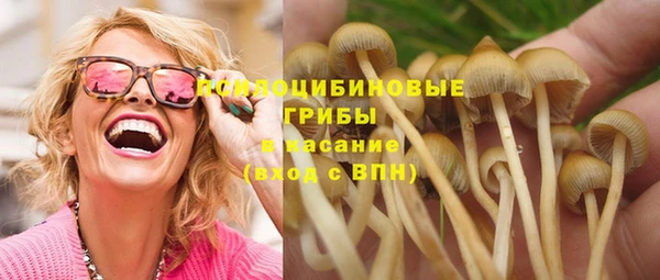 хмурый Гусиноозёрск